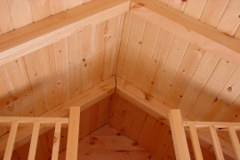 Pic 5